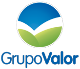 GrupoValor Logo